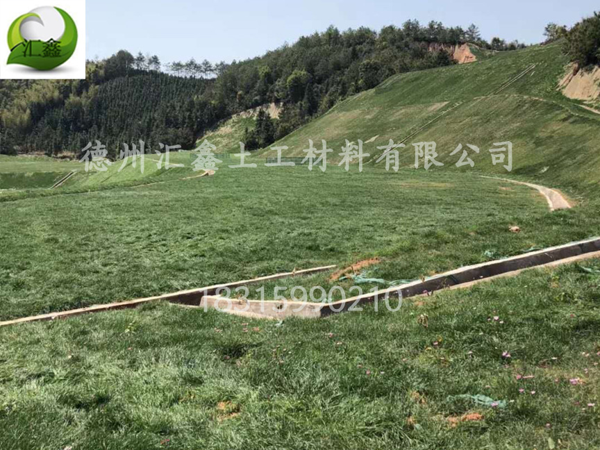 中鐵七局西藏公司國道214項目護坡椰絲生態(tài)毯